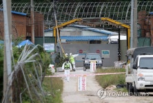 파주 농장 2곳서 아프리카돼지열병 의심 신고