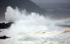 태풍 타파가 몰고 온 거센 파도