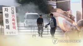 [속보] 중점관리지역 4개 권역 구분…권역별 돼지 이동·반출금지