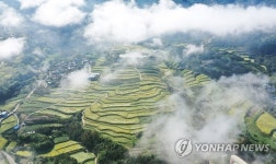 태풍 지나고…운해와 어우러진 지리산 다랭이논