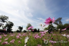 가을, 바라보다