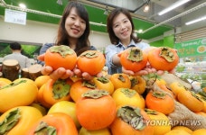 반시로 가을의 맛을 느껴보세요