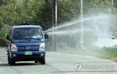 강화에 돼지열병 집중 발생…경기-강화 발생농장간 차량 오가(종합)