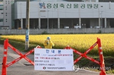 안되는데 최대 양돈밀집단지 충남서 ASF 의심 신고 초긴장