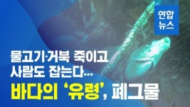 [이슈 컷] 물고기·거북 죽이고 사람도 잡는 바다의 유령, 폐그물