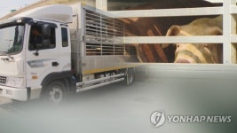 [속보] 경기 파주시 파평면서 아프리카돼지열병 의심 신고