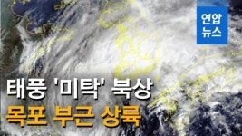 [영상] 중형급 태풍 '미탁' 북상 중…목포 부근 상륙할 듯