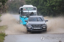 태풍 '미탁'이 몰고 온 폭우