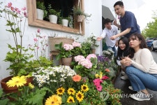 아이비플라워휴게점 | 꽃을 체험하고 구매하는 '꽃집'