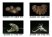 과천과학관, 8일부터 공룡특별전 개막…공룡화석 등 110점 전시