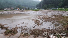 진흙 펄로 변한 삼척 채소밭