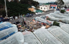 무너진 비닐하우스 복구하는 주민들