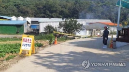 ASF 의심신고 보령시 천북면 양돈단지 방역 강화