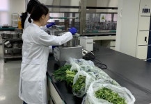 창원 내서농산물도매시장에 농산물 현장검사소 운영