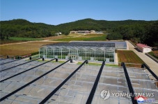 인민군 제810부대 산하 1116호 농장