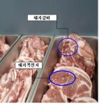 값싼 목전지 섞은 돼지갈비 무한리필 프렌차이즈 등 적발