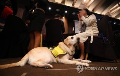 시각장애인 곁에서