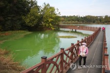 녹조 심각 광주 풍암호수공원