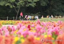 상림공원 꽃길 걸어요