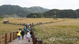 순천만습지에서 만드는 한-아세안 열차의 추억