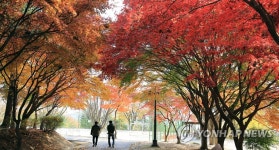 남원 교룡산성의 가을