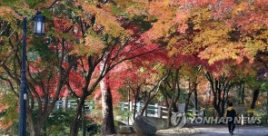 남원 교룡산성의 가을