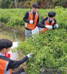 강원대, 춘천 누리삼마을 농촌 봉사활동