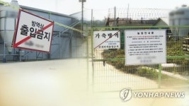 돼지열병 심각한데…아산서 고병원성 의심 AI 바이러스 검출(종합)