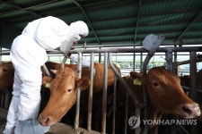 한 마리도 빠짐없이 예방접종