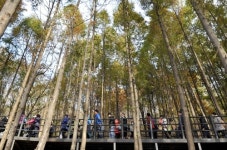 26일 서울 서대문구 안산에서 가을 콘서트