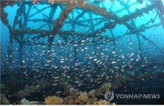 FIRA, 충남 태안군 해역에 19억원 들여 인공어초 설치