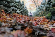 낙엽 쌓인 노추산 모정탑 길