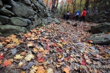 단풍 내려앉은 모정탑 가는 길