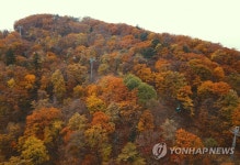 가을로 가는 길