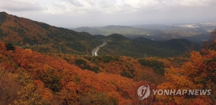 울긋불긋 물든 대관령