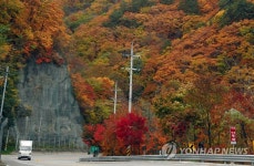 울긋불긋 물든 대관령