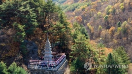 정선 정암사의 가을 풍경