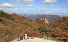 속리산에 내려앉은 단풍