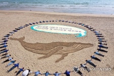 그린피스 바다 보호 해주세요