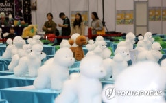 애견미용 최고를 뽑아라
