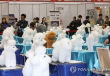 애견미용 최고를 뽑아라