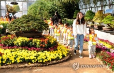 서산국화축제 찾은 어린이들