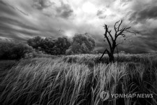 충남대 사진예술 동아리 사진전 동행