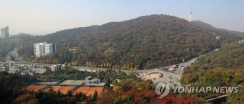 남산에 찾아온 가을