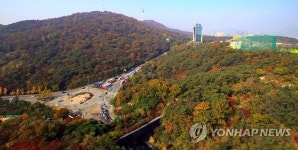 남산에 찾아온 가을
