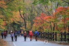 단풍놀이 인파 북적…구례 지리산 피아골 단풍축제 성료