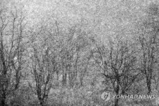 강재훈, 개인 사진전 숨