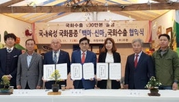 창원 농민 키운 국산 국화 일본에 수출한다
