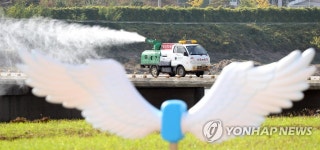 경북 금호강 일대에서 AI 검출…당국 방역 시작
