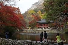 백양사 쌍계루의 가을